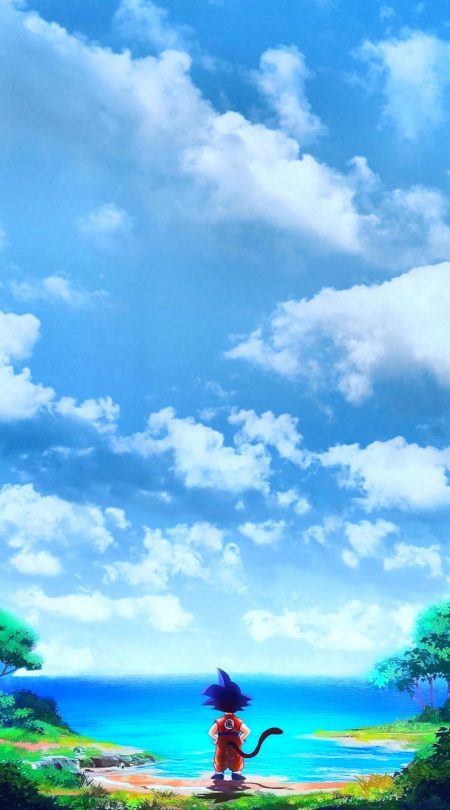 2048X1138 Image Dragon Ball Z Anime en 8K pour Smartphone Free Download ID : 695665473671355493