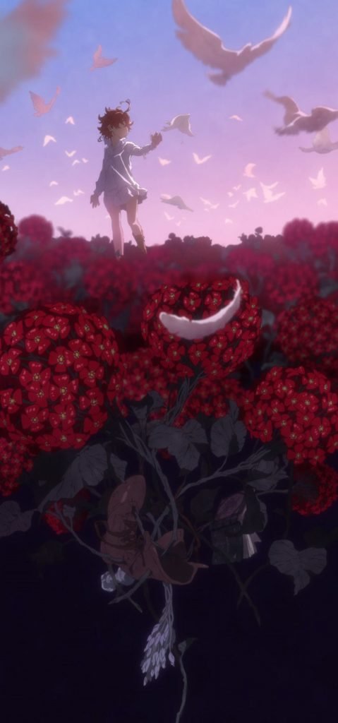 898X1920 Fond Ecran The Promised Neverland Bande Dessinée en 1080p pour PC à Télécharger ID : 653936808373774962